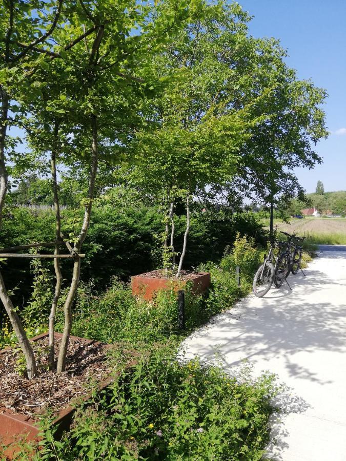 B&B De Stuifduinen Wetteren Eksteriør billede