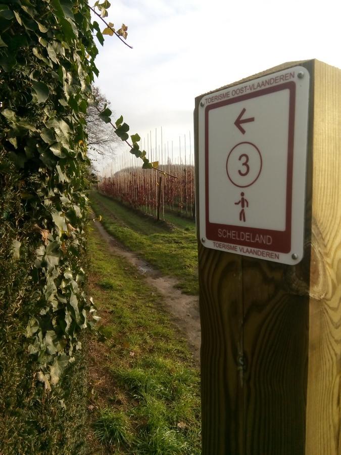 B&B De Stuifduinen Wetteren Eksteriør billede