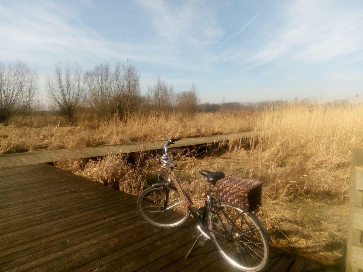 B&B De Stuifduinen Wetteren Eksteriør billede
